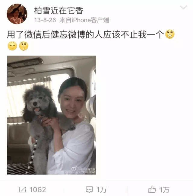 天涯论坛十大悬案，探索未解之谜的深渊，天涯论坛十大悬案，探索未解之谜的终极深渊