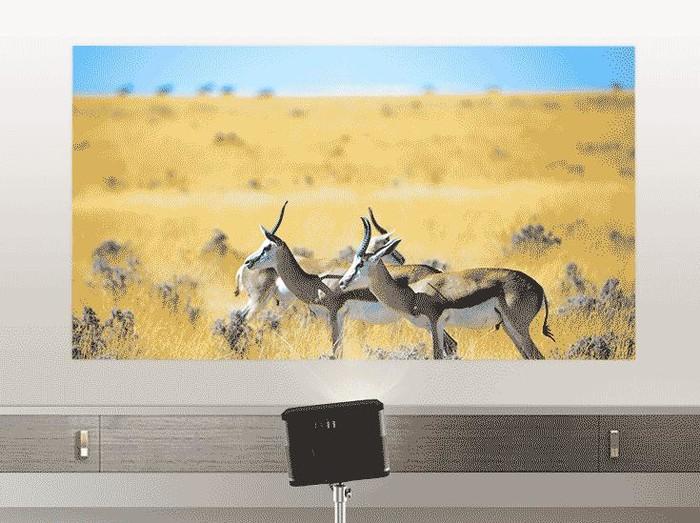 日本F-3隐形战机,未来空中力量的探索与挑战,日本F-3隐形战机,未来空中力量的探索与突破