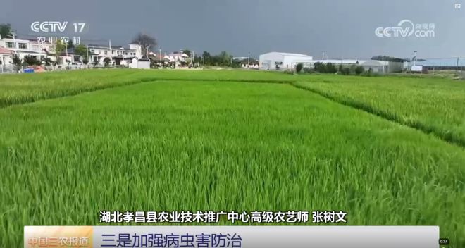 中央农业农村频道，引领新时代农业发展的权威之声，中央农业农村频道，引领农业新时代发展的权威引领之声