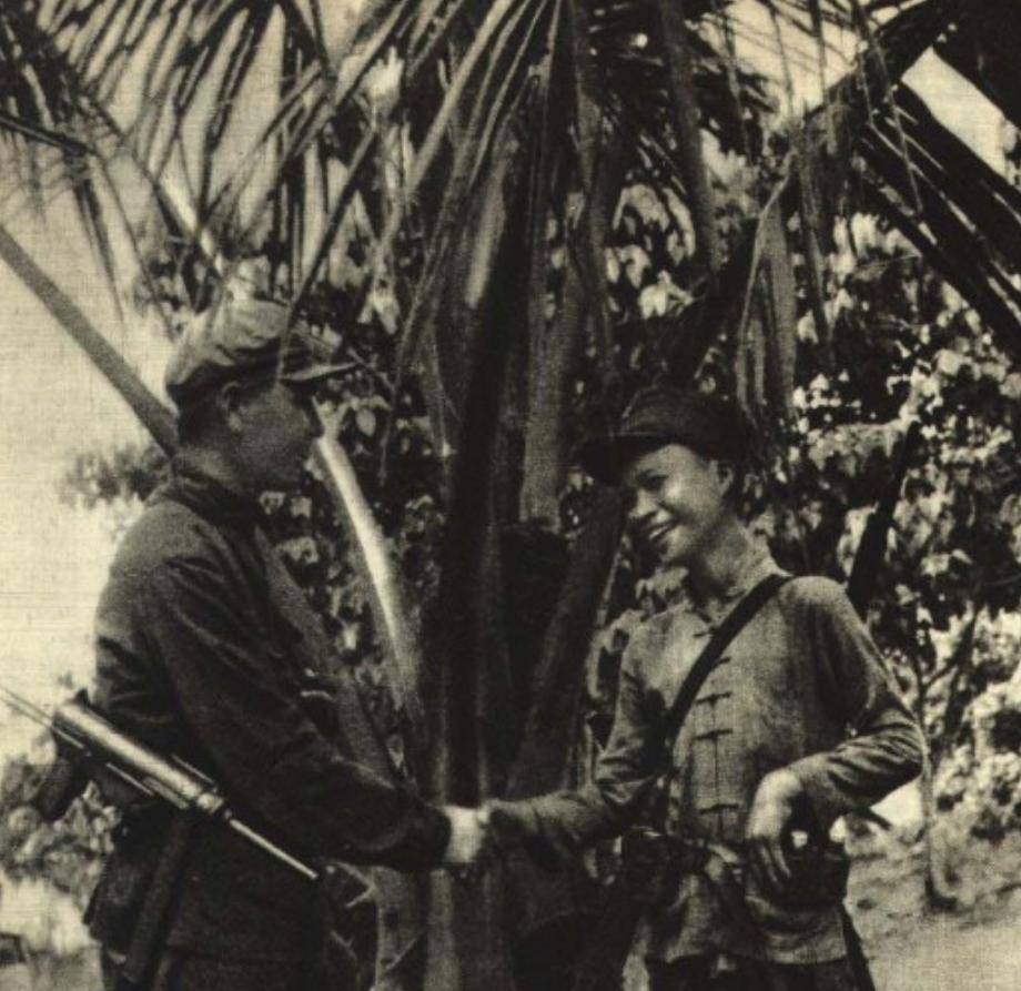 海南抗日游击队，英勇斗争的荣耀篇章，海南抗日游击队，英勇斗争的辉煌篇章