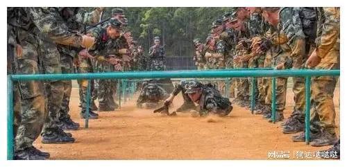 新兵入伍训练科目教案,新兵入伍训练科目教案详解