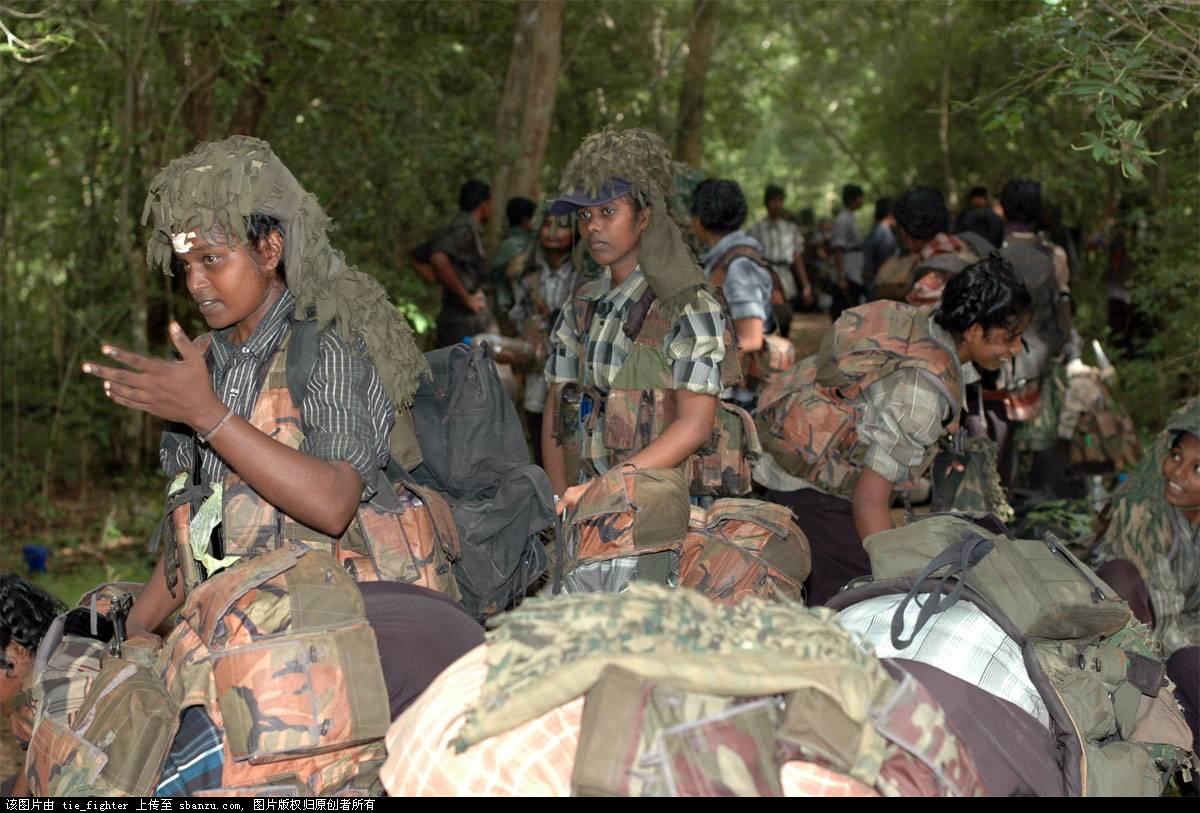 死去的猛虎组织女兵天涯论坛，揭示背后真相与反思社会现象，揭秘猛虎组织女兵死亡背后的真相与社会反思