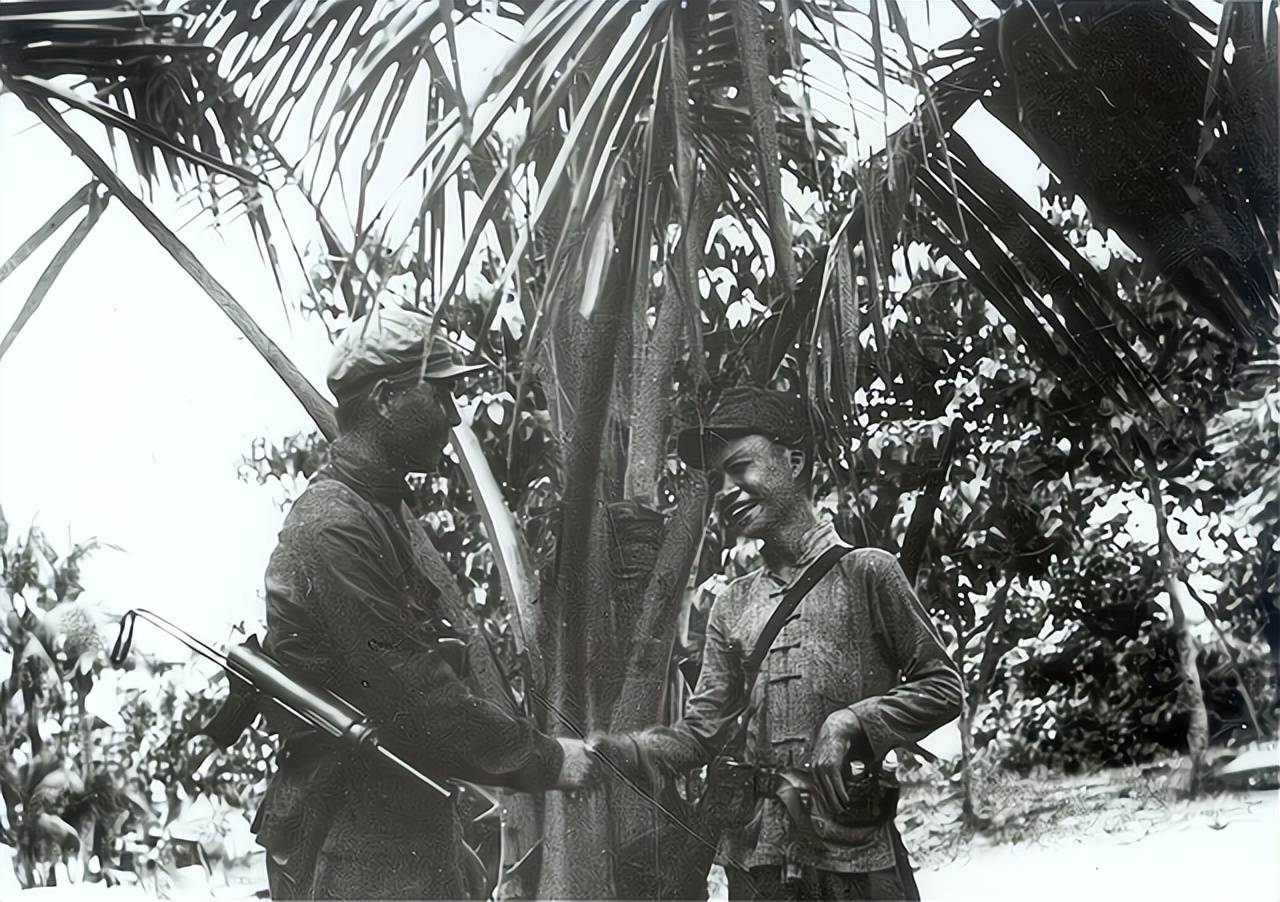 决战海南岛,1950年的英勇篇章,决战海南岛,英勇篇章再现历史风云