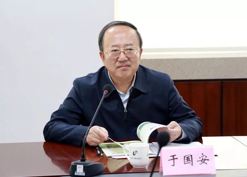 三肖王中王选一肖,探寻最佳选择的背后逻辑,探寻三肖王中王选一肖的背后逻辑