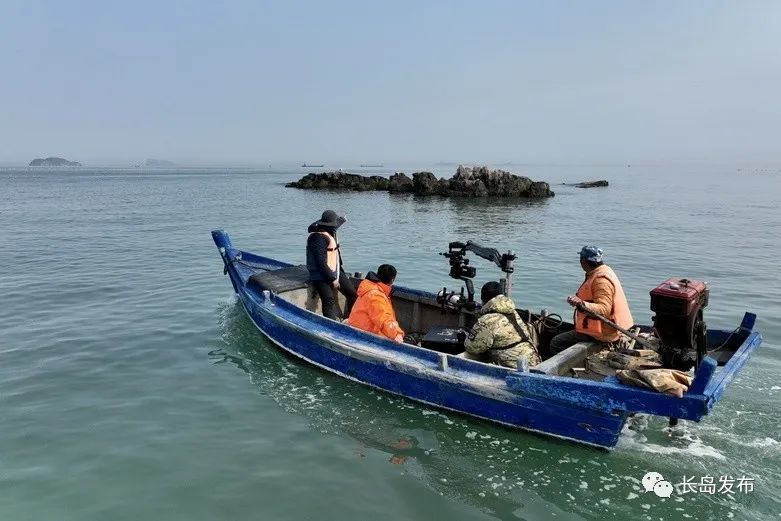 中央军事频道与长山列岛的独特联系,中央军事频道与长山列岛的深度联动