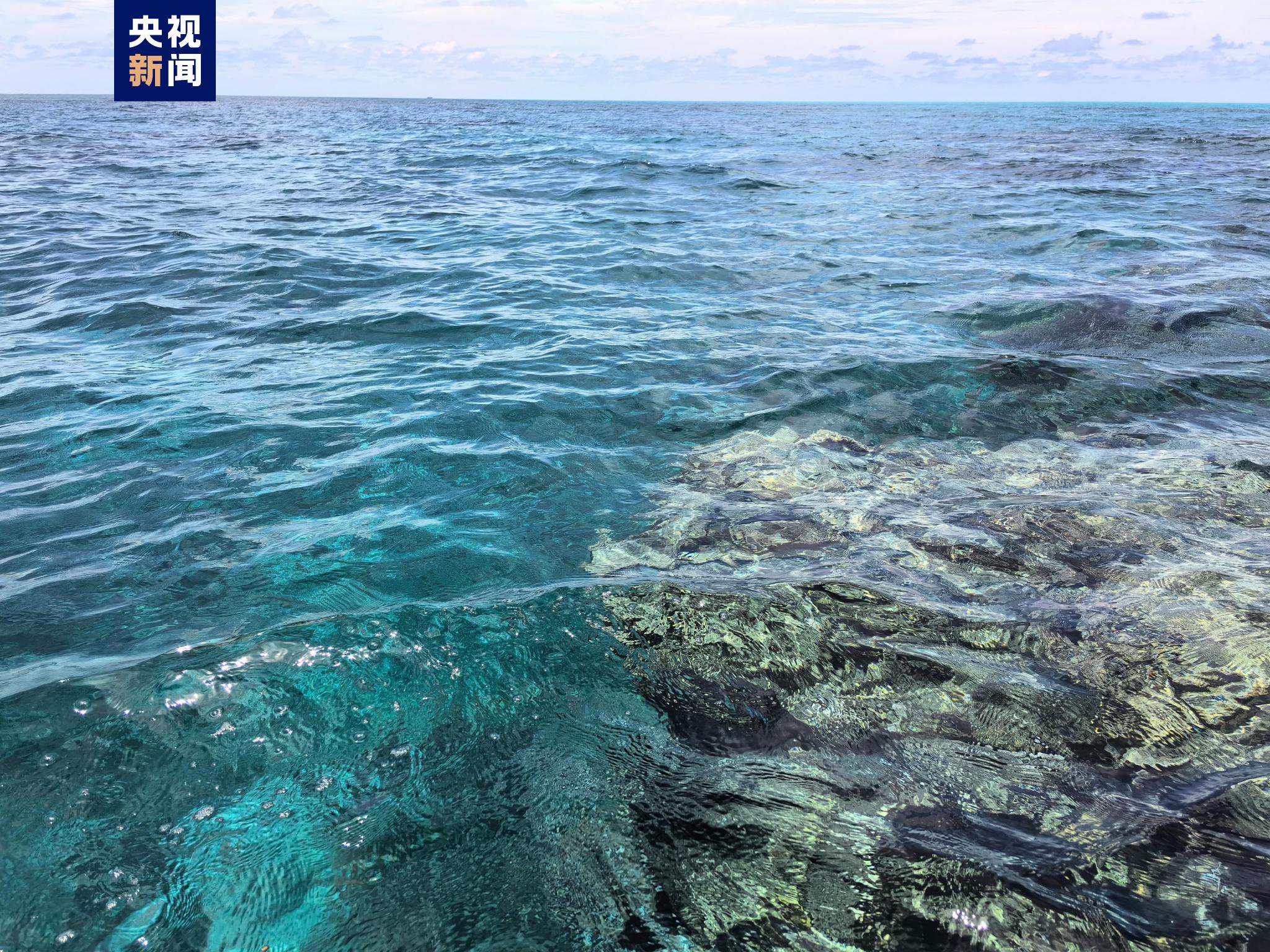 黄岩岛所在海域,丰富的资源与环境价值,黄岩岛海域的资源与环境价值丰富